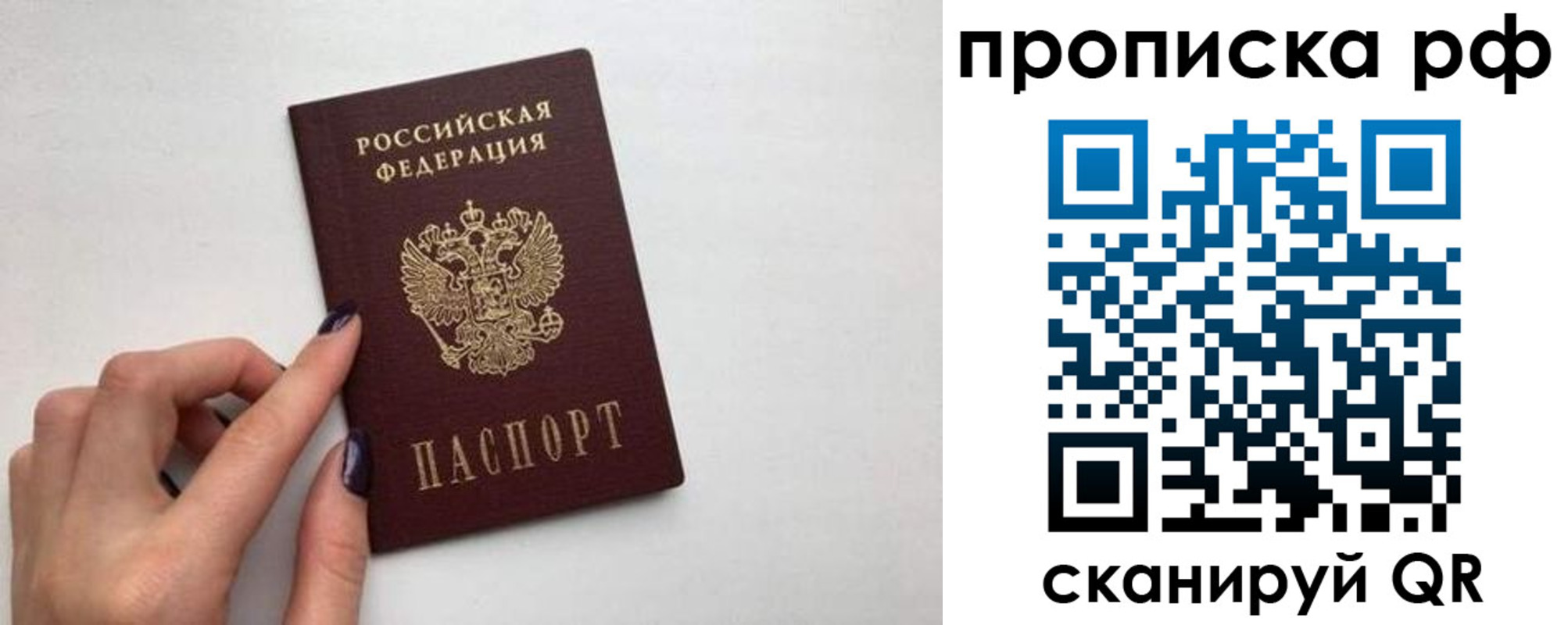 прописка в квартире в Раменском